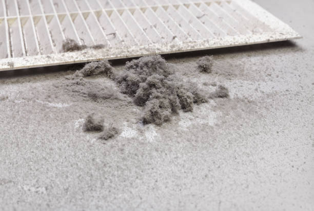 Best Best Air Duct Cleaning Company  in Bonanza, GA